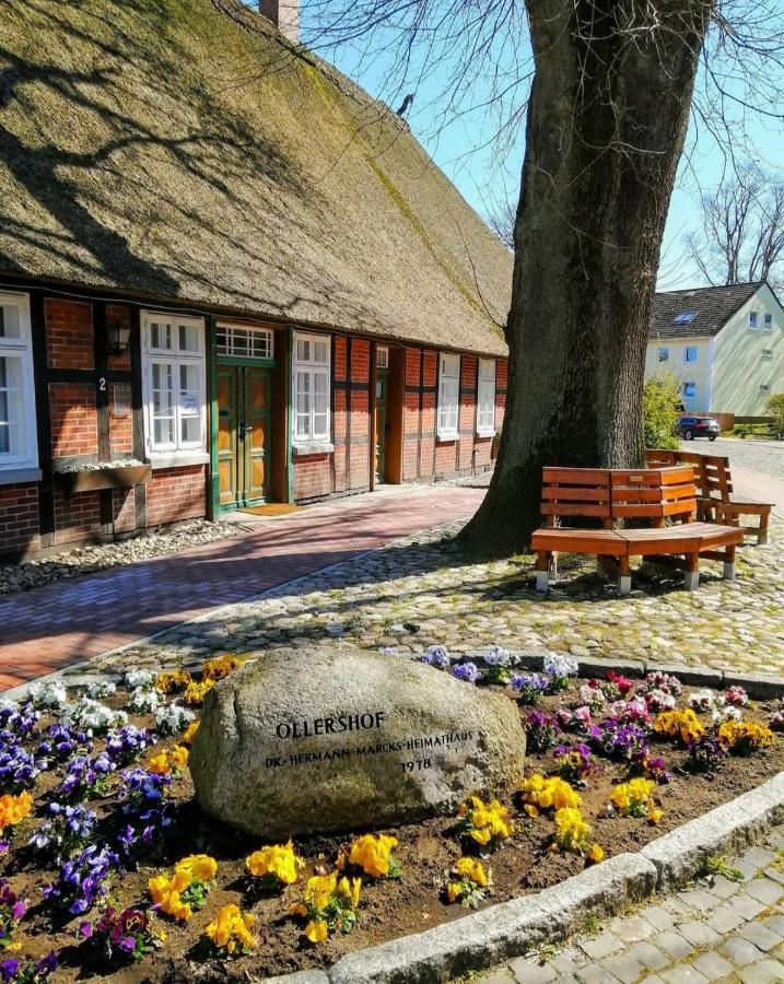 Hotel Kaiserhof Munster im Heidekreis Luaran gambar